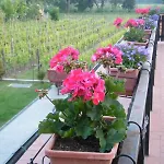 Grillo Iole Winery 3* Prepotto (Udine)