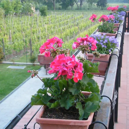 Bed & Breakfast Grillo Iole Winery *