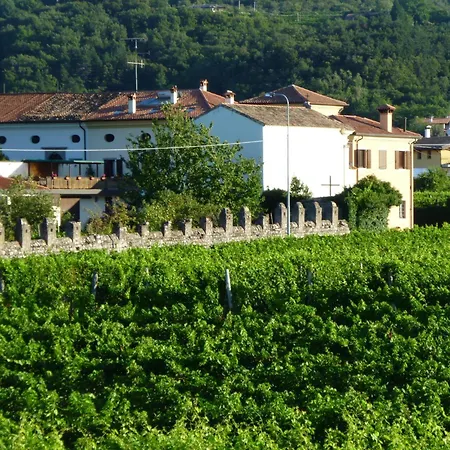 Grillo Iole Winery