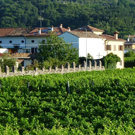 Grillo Iole Winery