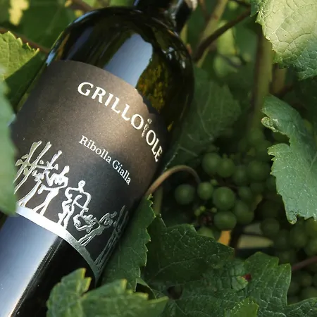 לינה וארוחת בוקר Grillo Iole Winery