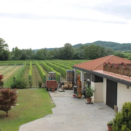 Grillo Iole Winery 3*