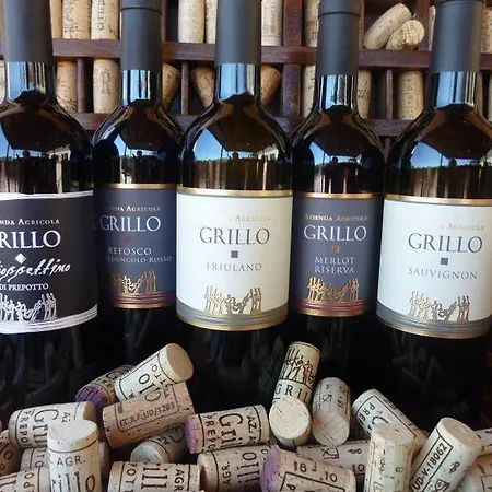 לינה וארוחת בוקר Grillo Iole Winery