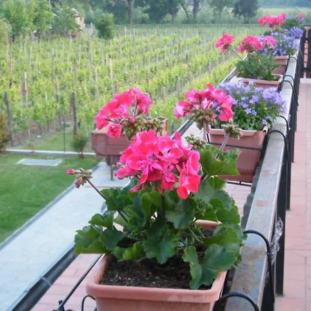 Grillo Iole Winery 3* Prepotto (Udine)