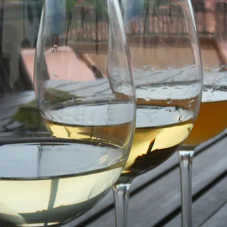 Grillo Iole Winery 3*