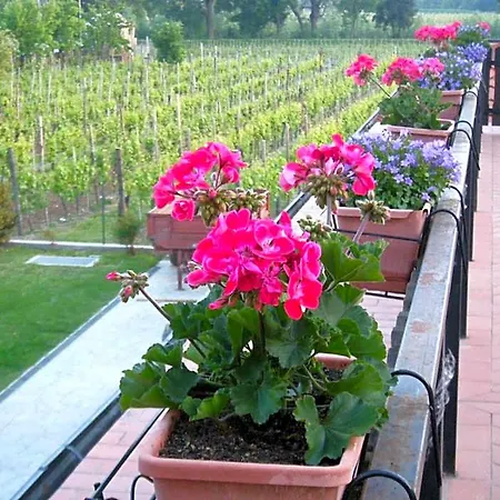 Grillo Iole Winery לינה וארוחת בוקר Prepotto (Udine)