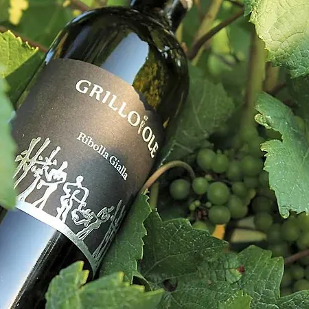 Grillo Iole Winery 3*