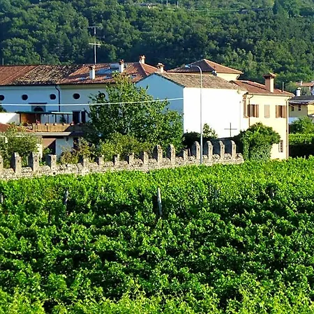 Grillo Iole Winery Prepotto (Udine)