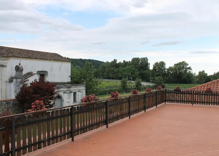 Bed & Breakfast Grillo Iole Winery