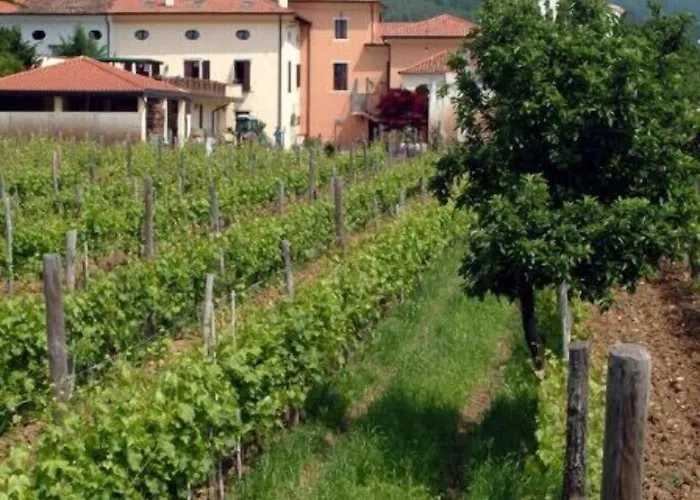 Grillo Iole Winery Bed & Breakfast 3*