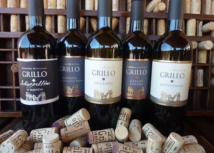 Bed & Breakfast Grillo Iole Winery