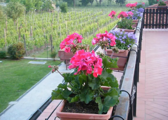 Grillo Iole Winery 3* Prepotto (Udine)