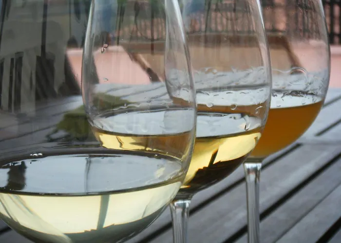 Grillo Iole Winery 3*